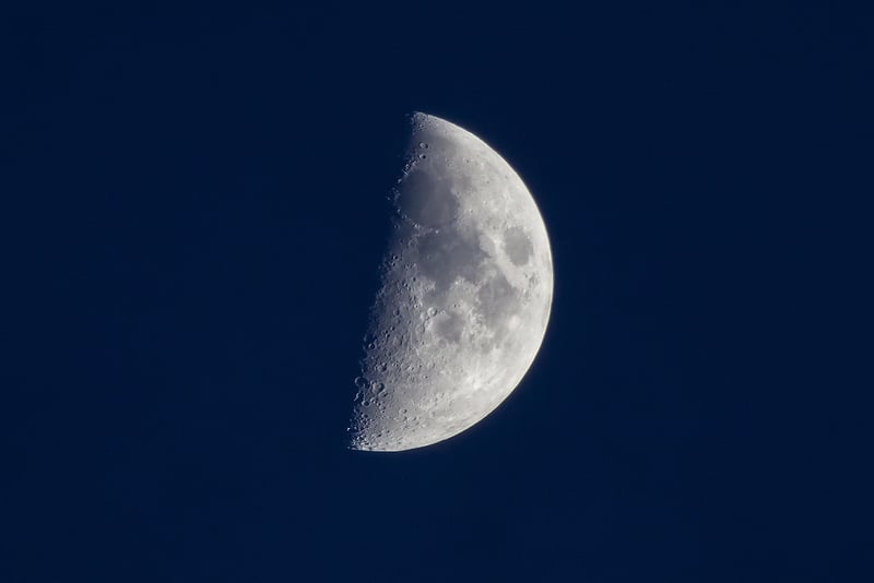 Lunar Delicacies